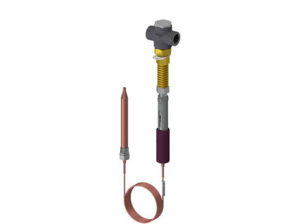 Regulatory temperatury TR25